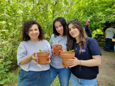 Greening Aid in Practice: Our Results and Lessons 