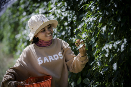 Empowering Women Farmers: Mrs. Heng Thavy’s Journey with Innovative Agriculture