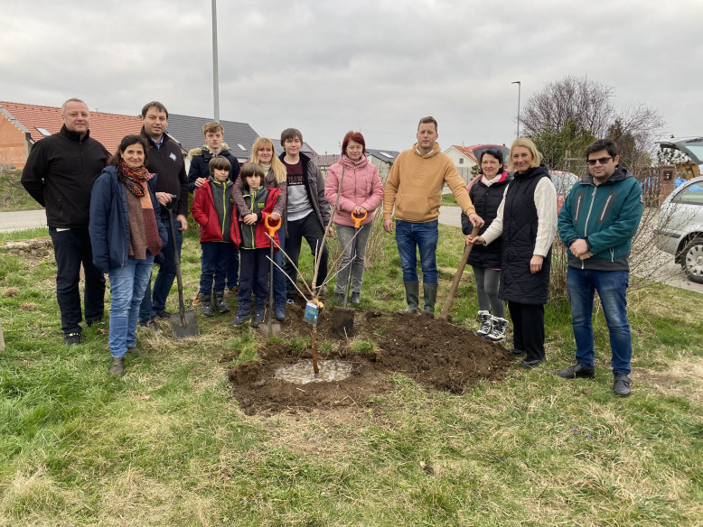 Empowering Local Climate Action (ELCA): From Strategy to Practice in Romania and the Czech Republic 