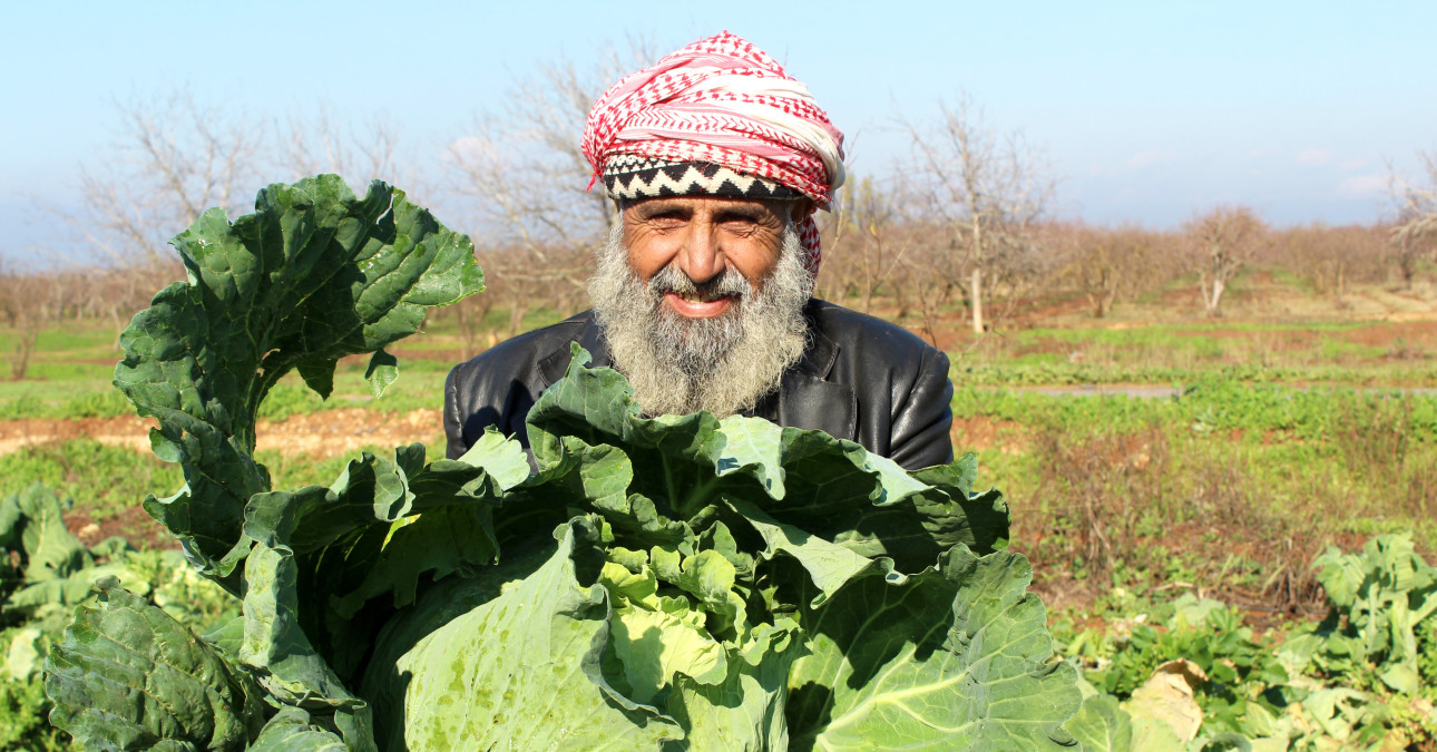 Abdul-Rahman with the cabbages he has grown, thanks to vouchers for seeds from People in Need.